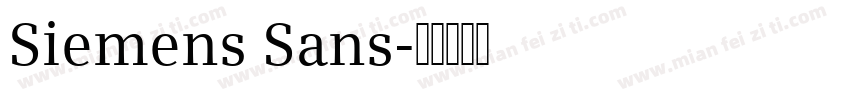 Siemens Sans字体转换